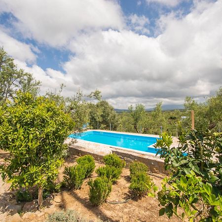 Hakuna Matata Holidays Wooden Lodge With Airco & Pool In Greek Olive Grove 메토니 외부 사진