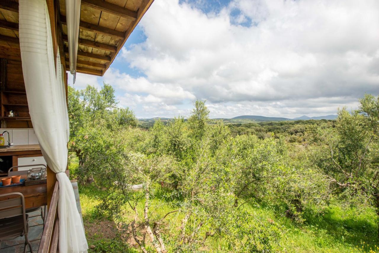 Hakuna Matata Holidays Wooden Lodge With Airco & Pool In Greek Olive Grove 메토니 외부 사진