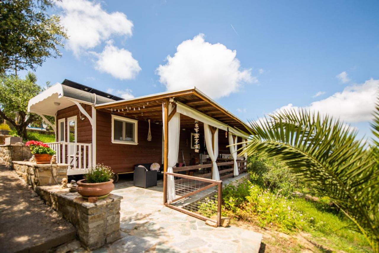 Hakuna Matata Holidays Wooden Lodge With Airco & Pool In Greek Olive Grove 메토니 외부 사진