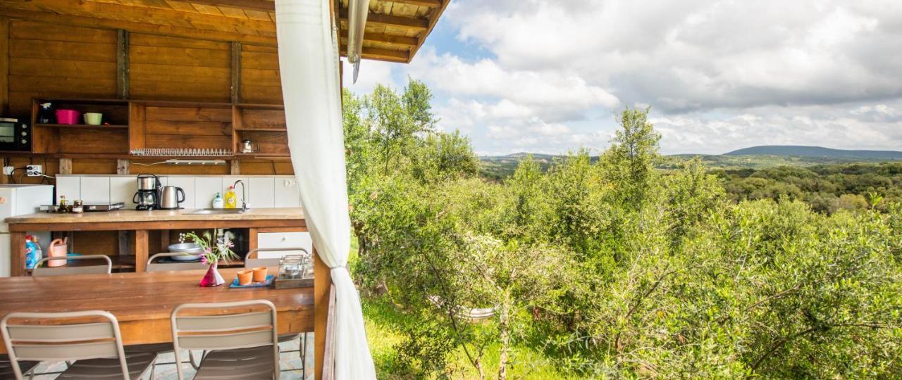 Hakuna Matata Holidays Wooden Lodge With Airco & Pool In Greek Olive Grove 메토니 외부 사진