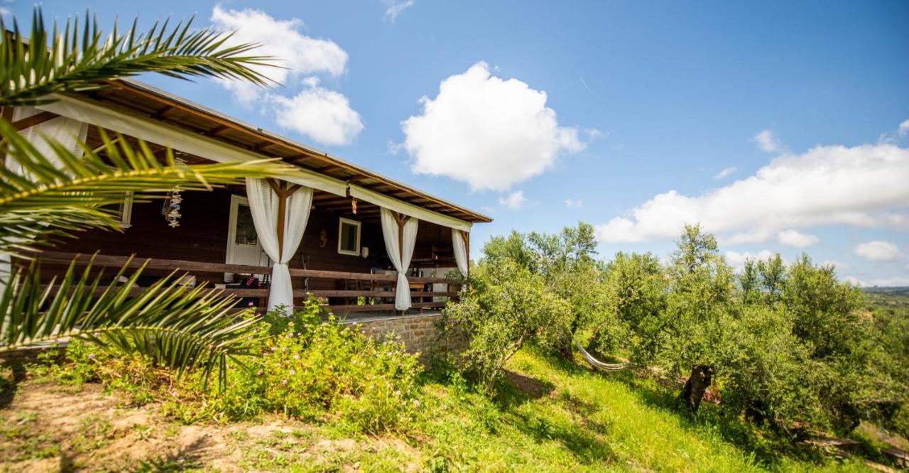 Hakuna Matata Holidays Wooden Lodge With Airco & Pool In Greek Olive Grove 메토니 외부 사진