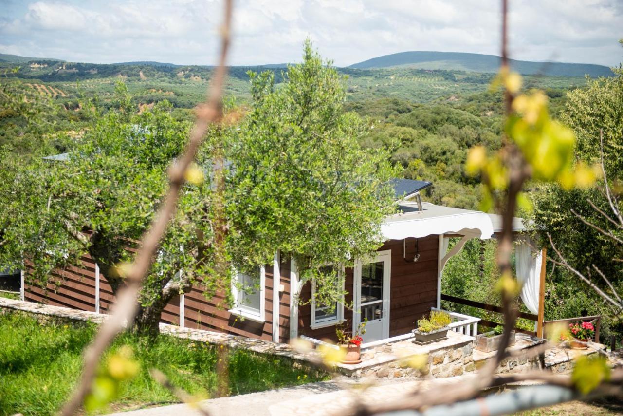 Hakuna Matata Holidays Wooden Lodge With Airco & Pool In Greek Olive Grove 메토니 외부 사진