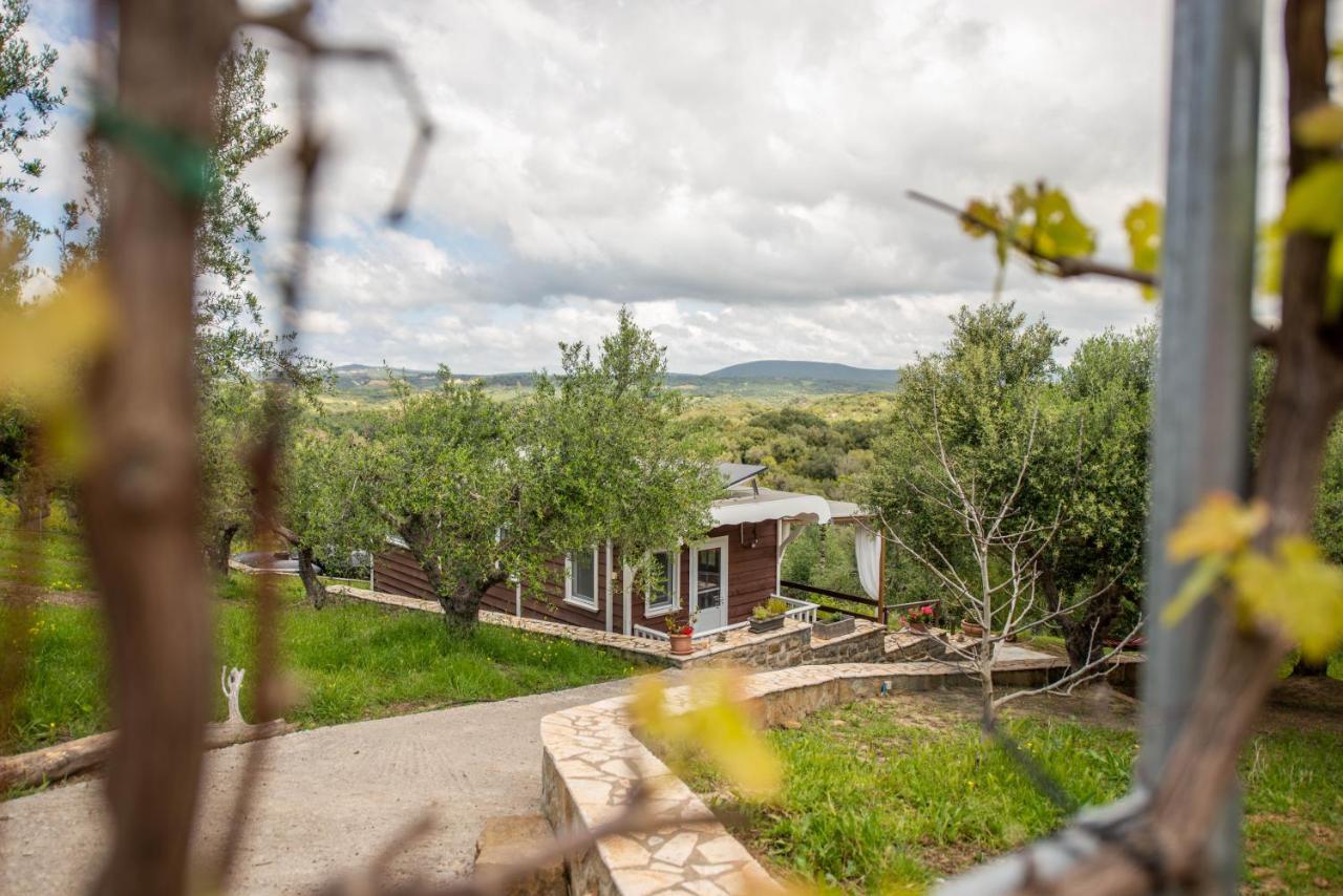 Hakuna Matata Holidays Wooden Lodge With Airco & Pool In Greek Olive Grove 메토니 외부 사진