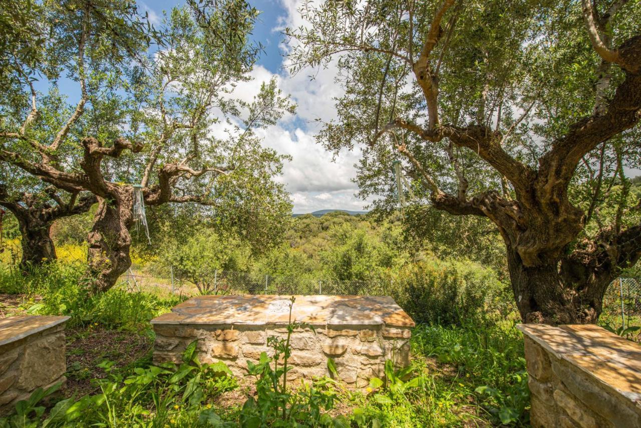 Hakuna Matata Holidays Wooden Lodge With Airco & Pool In Greek Olive Grove 메토니 외부 사진
