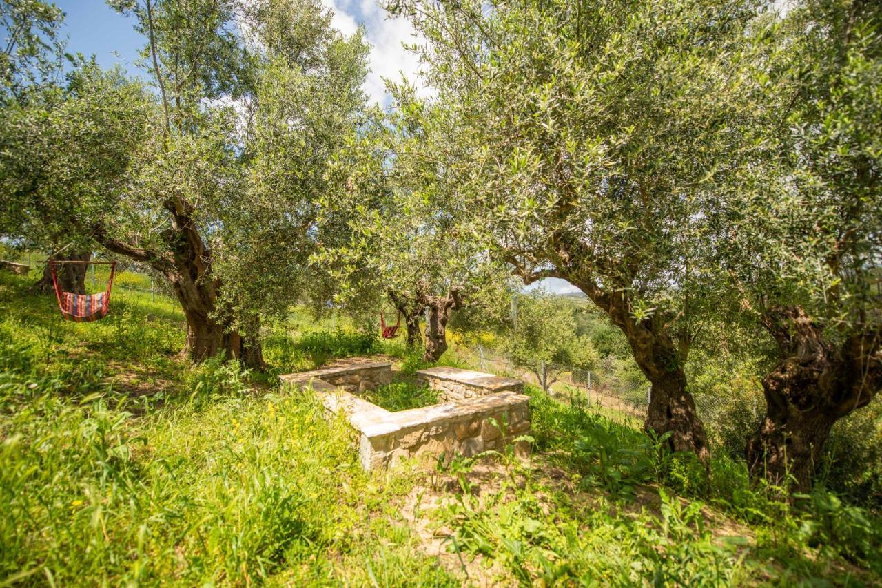 Hakuna Matata Holidays Wooden Lodge With Airco & Pool In Greek Olive Grove 메토니 외부 사진
