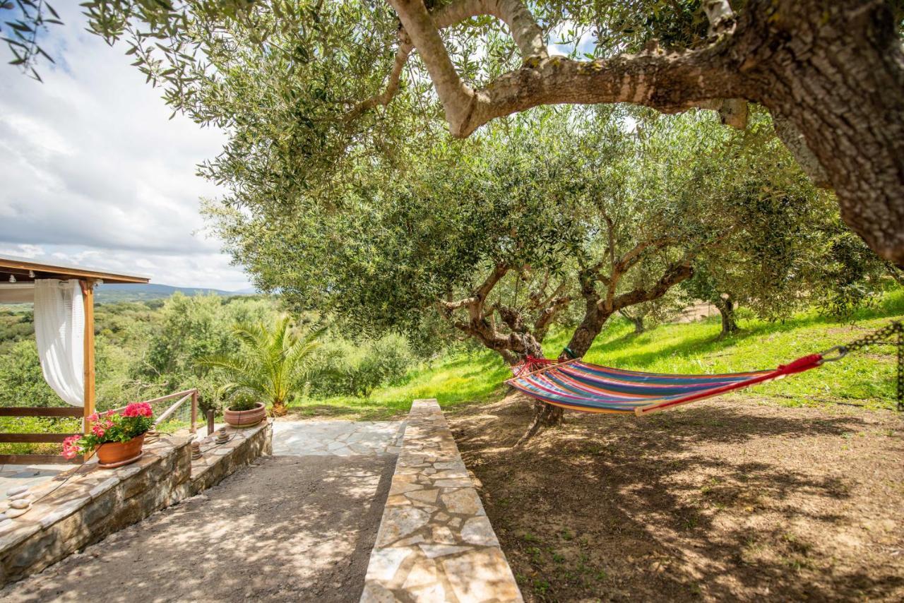 Hakuna Matata Holidays Wooden Lodge With Airco & Pool In Greek Olive Grove 메토니 외부 사진