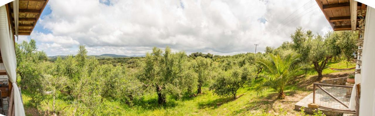Hakuna Matata Holidays Wooden Lodge With Airco & Pool In Greek Olive Grove 메토니 외부 사진