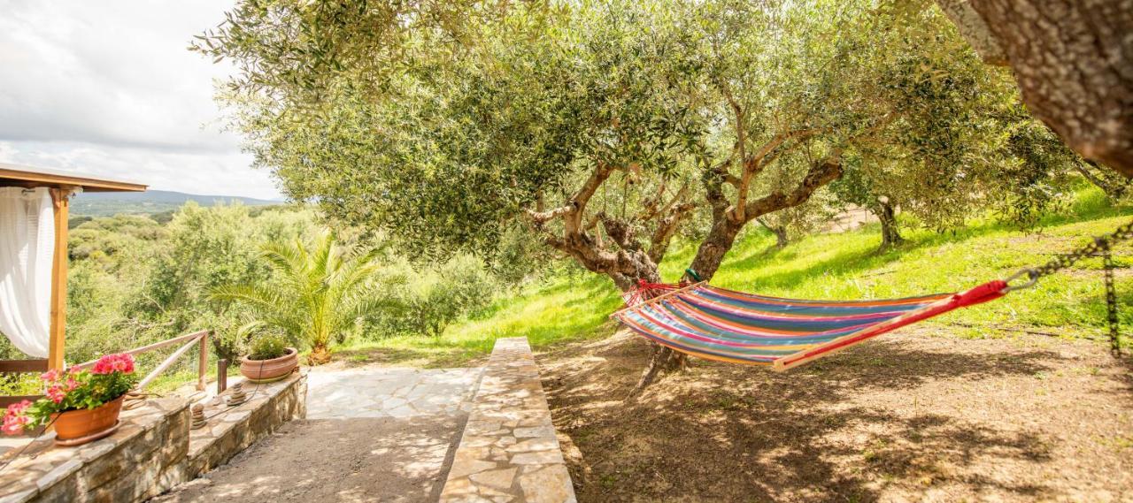 Hakuna Matata Holidays Wooden Lodge With Airco & Pool In Greek Olive Grove 메토니 외부 사진