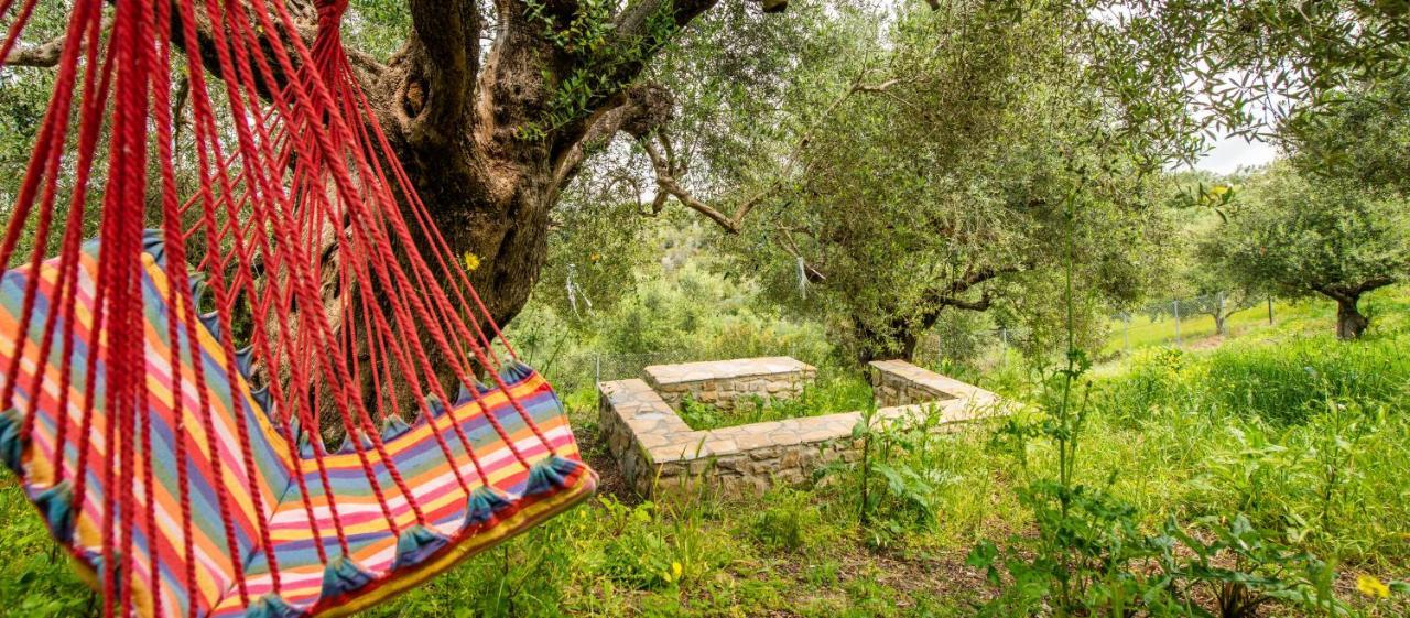 Hakuna Matata Holidays Wooden Lodge With Airco & Pool In Greek Olive Grove 메토니 외부 사진