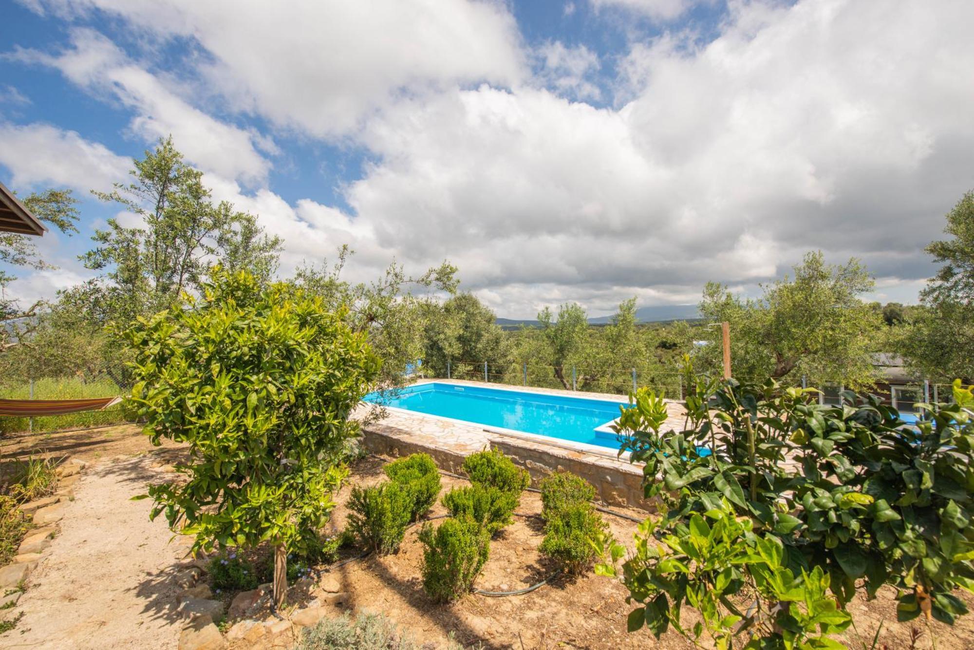 Hakuna Matata Holidays Wooden Lodge With Airco & Pool In Greek Olive Grove 메토니 외부 사진