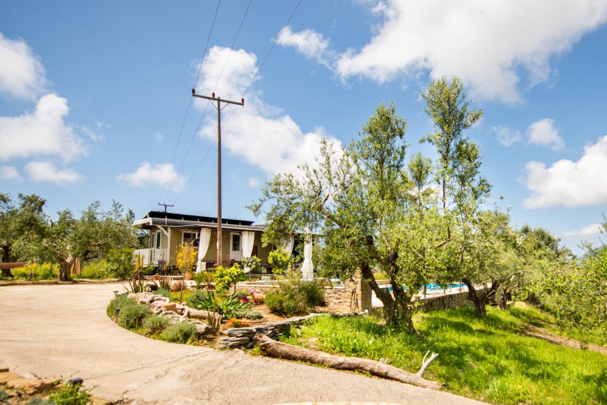 Hakuna Matata Holidays Wooden Lodge With Airco & Pool In Greek Olive Grove 메토니 외부 사진